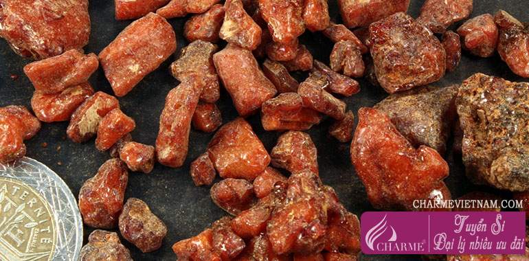 Bồ đề