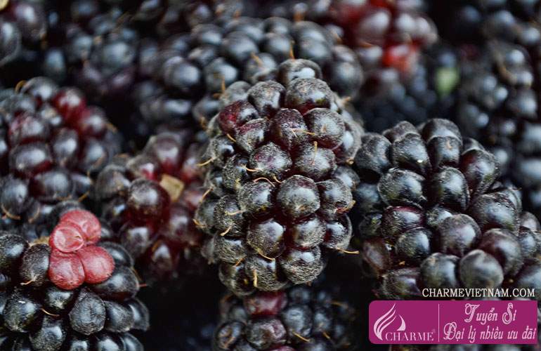 Boysenberry