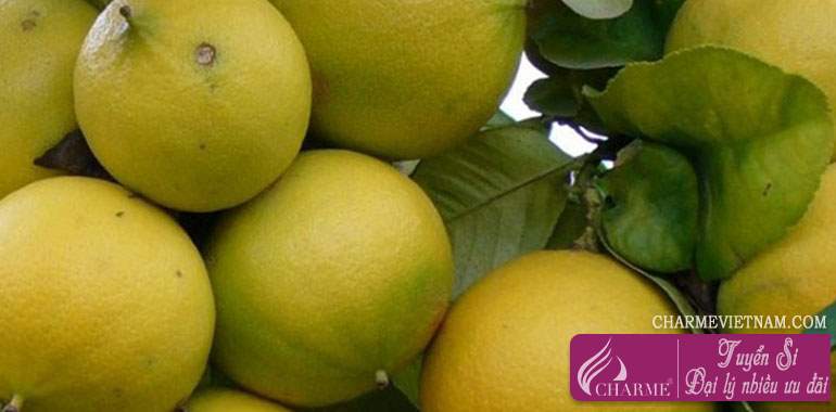 Cam Bergamot Calabria