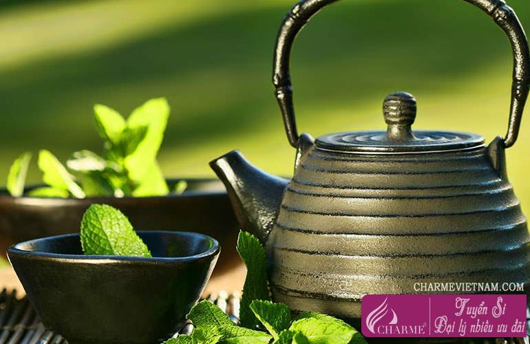 Cây bạc hà nước