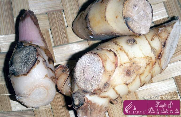 Cây riềng nếp