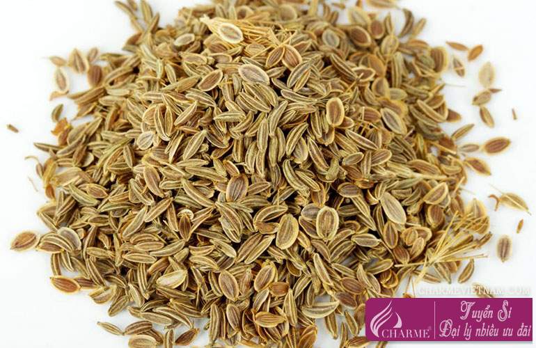 Cây thì là vườn