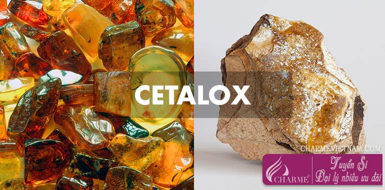 Chất Cetalox