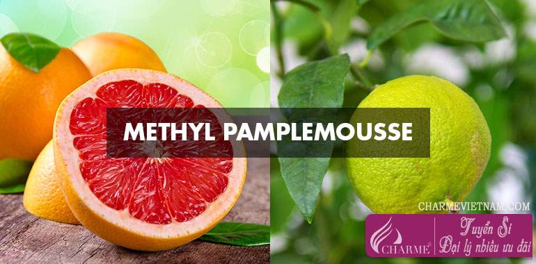 Chất Methyl Pamplemousse