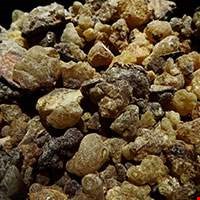 Dầu nhựa thơm Myrrh