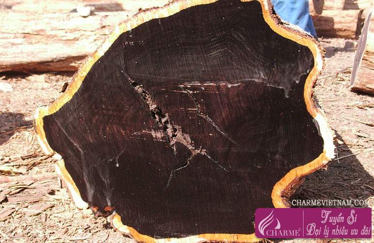 Gỗ Blackwood