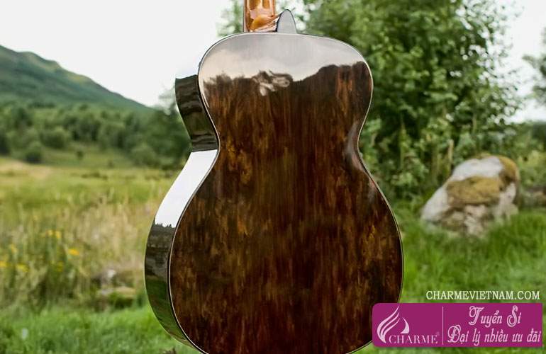 Gỗ Blackwood