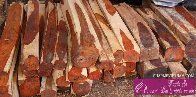 Gỗ Cocobolo