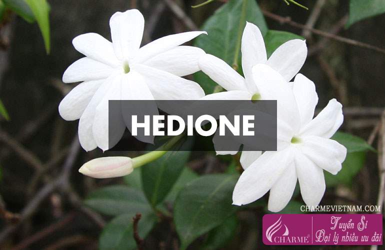 Hedione