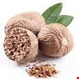Hoa nhục đậu khấu