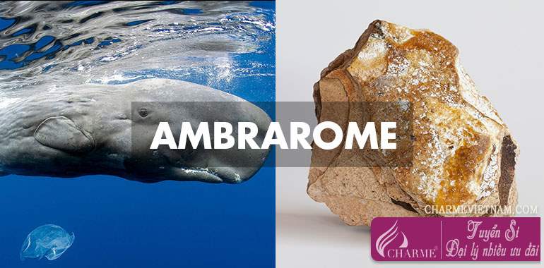 Hương Ambrarome