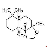 Hương Ambroxan