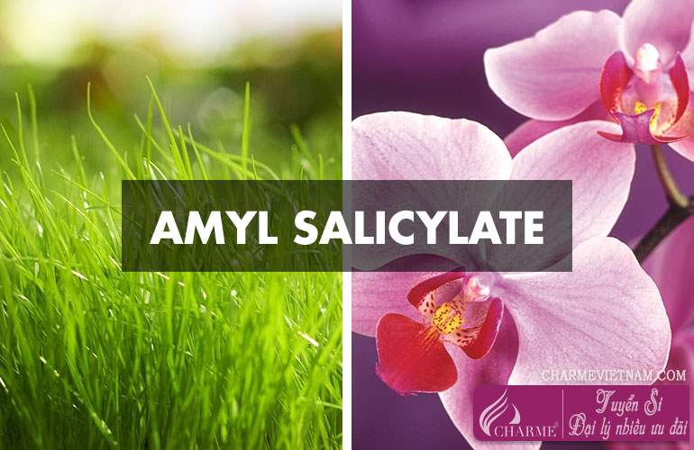 Hương Amyl Salicylate