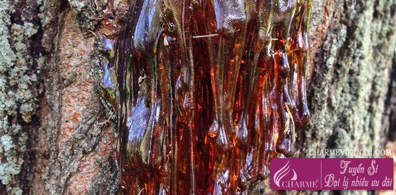 Hương nhựa cây Siam Resin