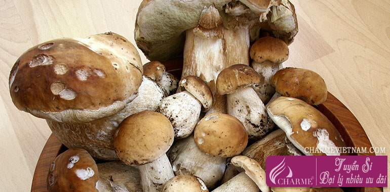 Nấm Cepes