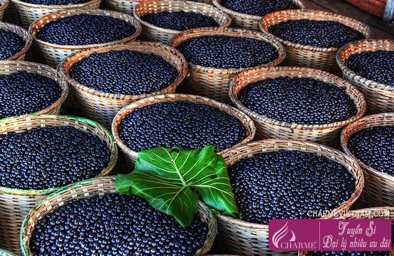 Quả Acai