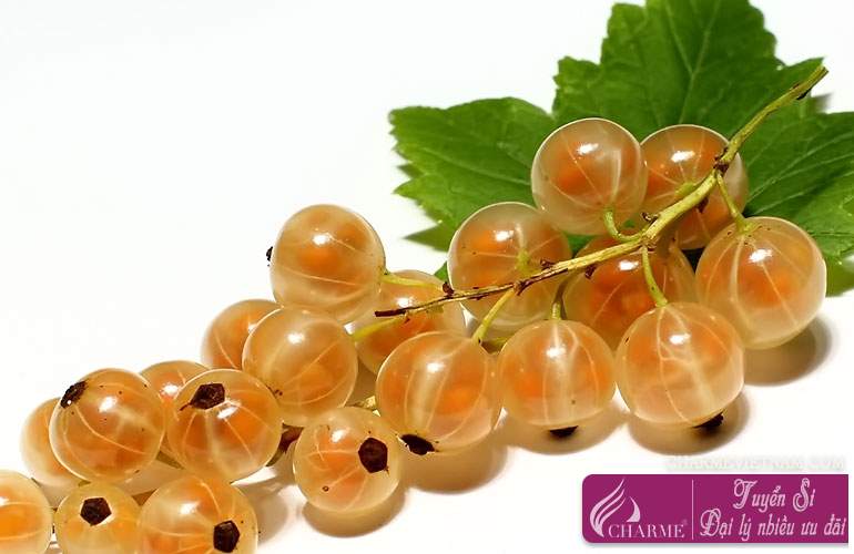 Quả lý chua trắng