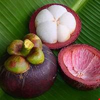 Quả măng cụt