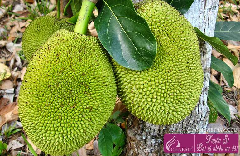 Quả mít
