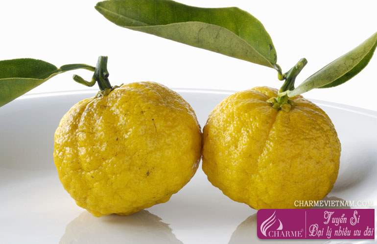 Quả Yuzu