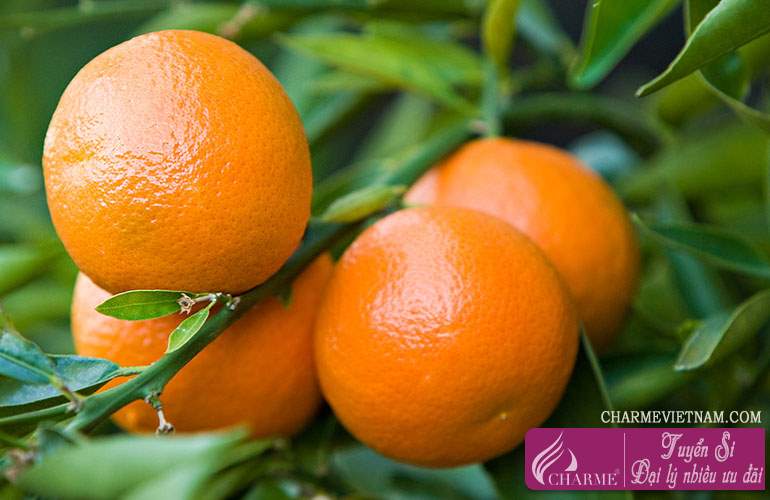 Quýt Clementine