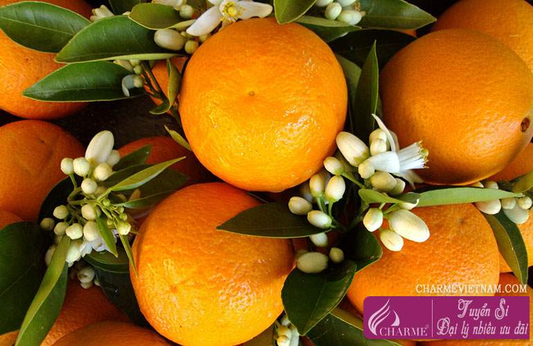 Tinh chất hoa cam Neroli